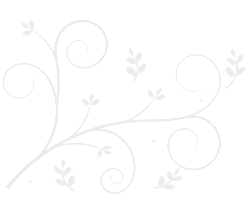 masaj salonu resimleri