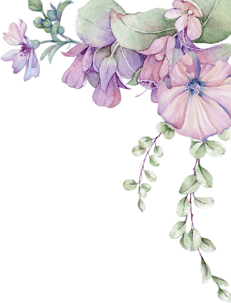  masaj salonu kampanya ankara çankaya